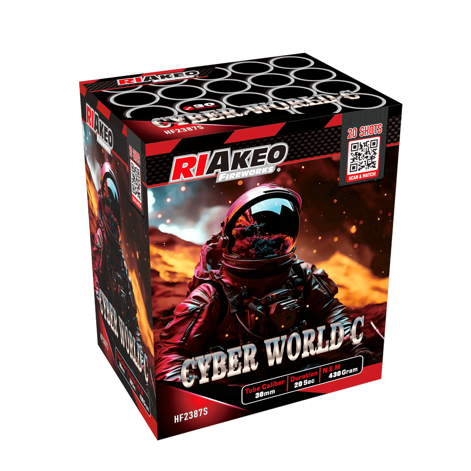 Cyber World C