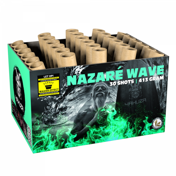 Nazaré Wave